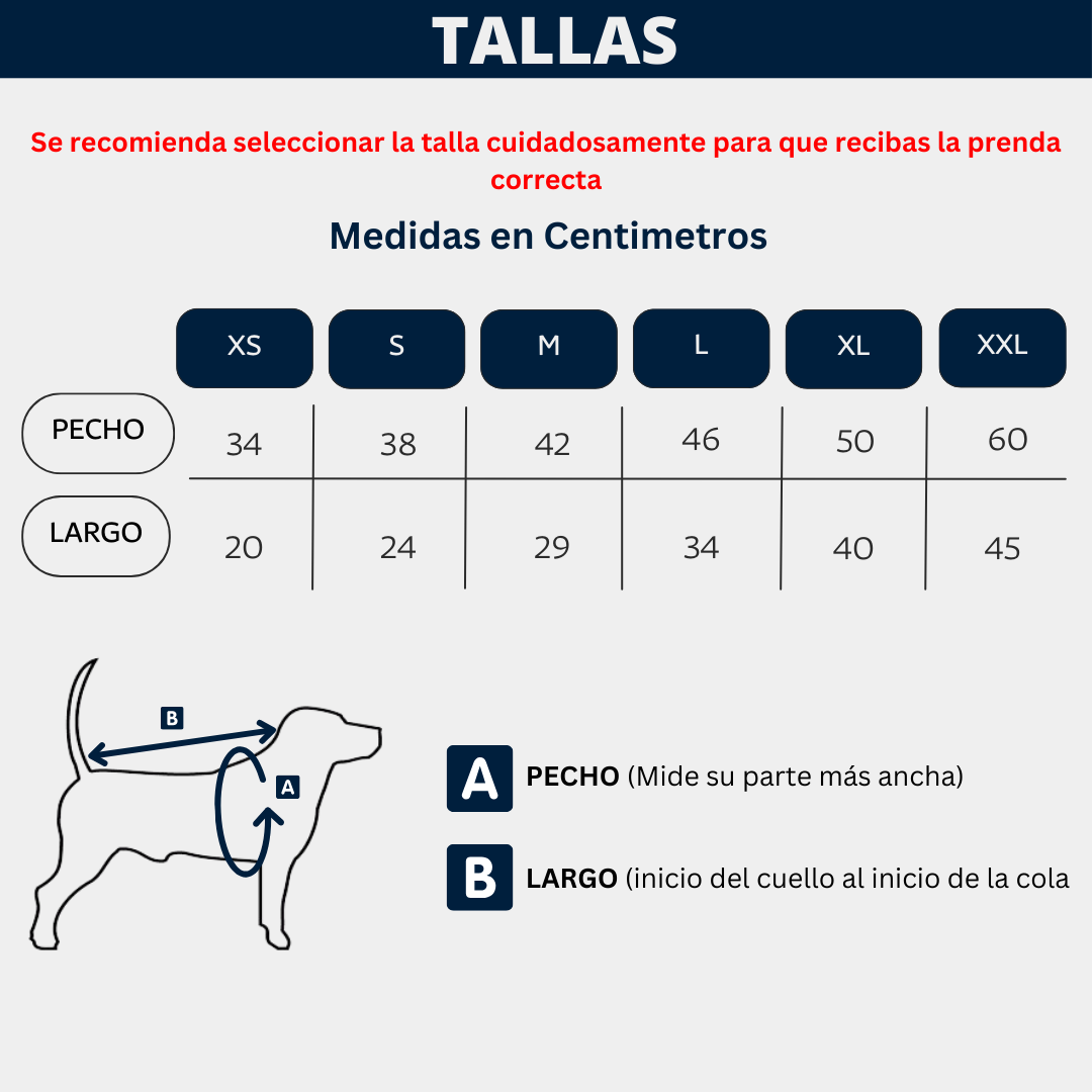 Disfraz Dinosaurio-Ropa Mascotas